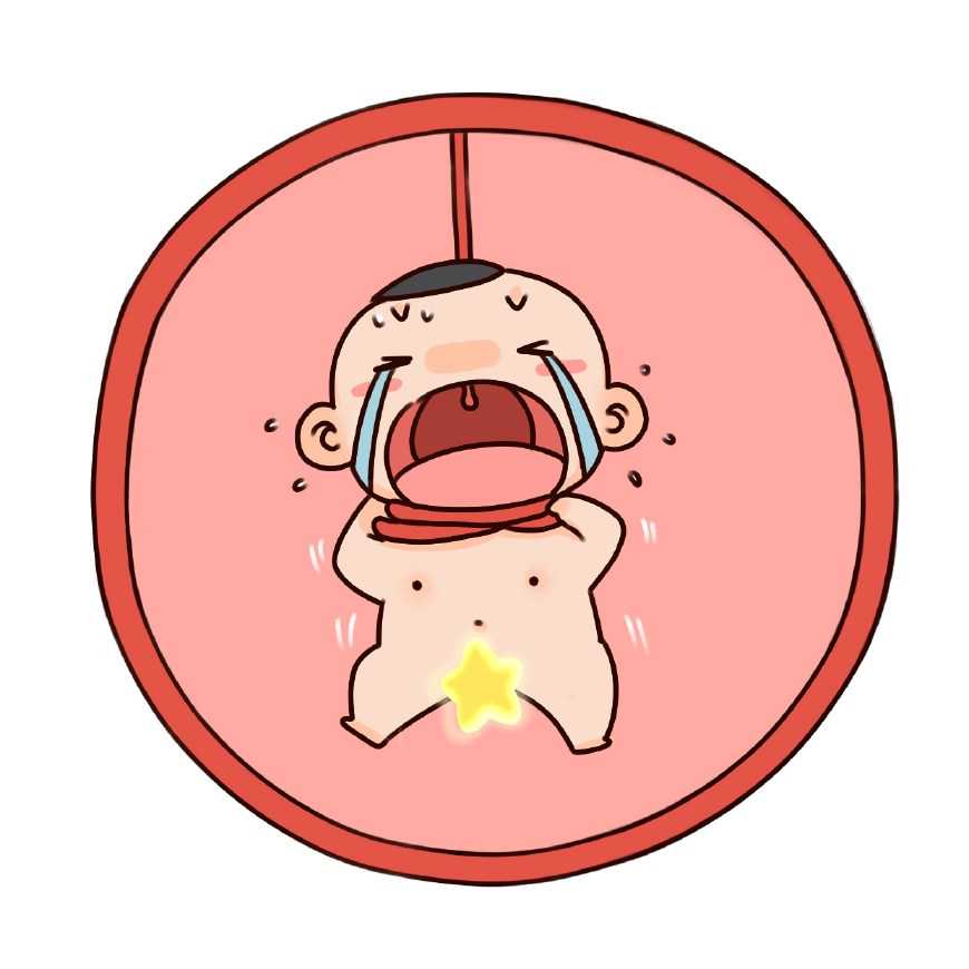 2026三代试管选性别医院排名与助孕技术解析